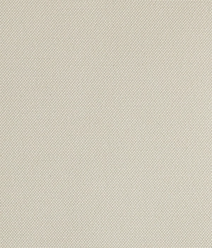 Palm Beach fabric in Jasmine