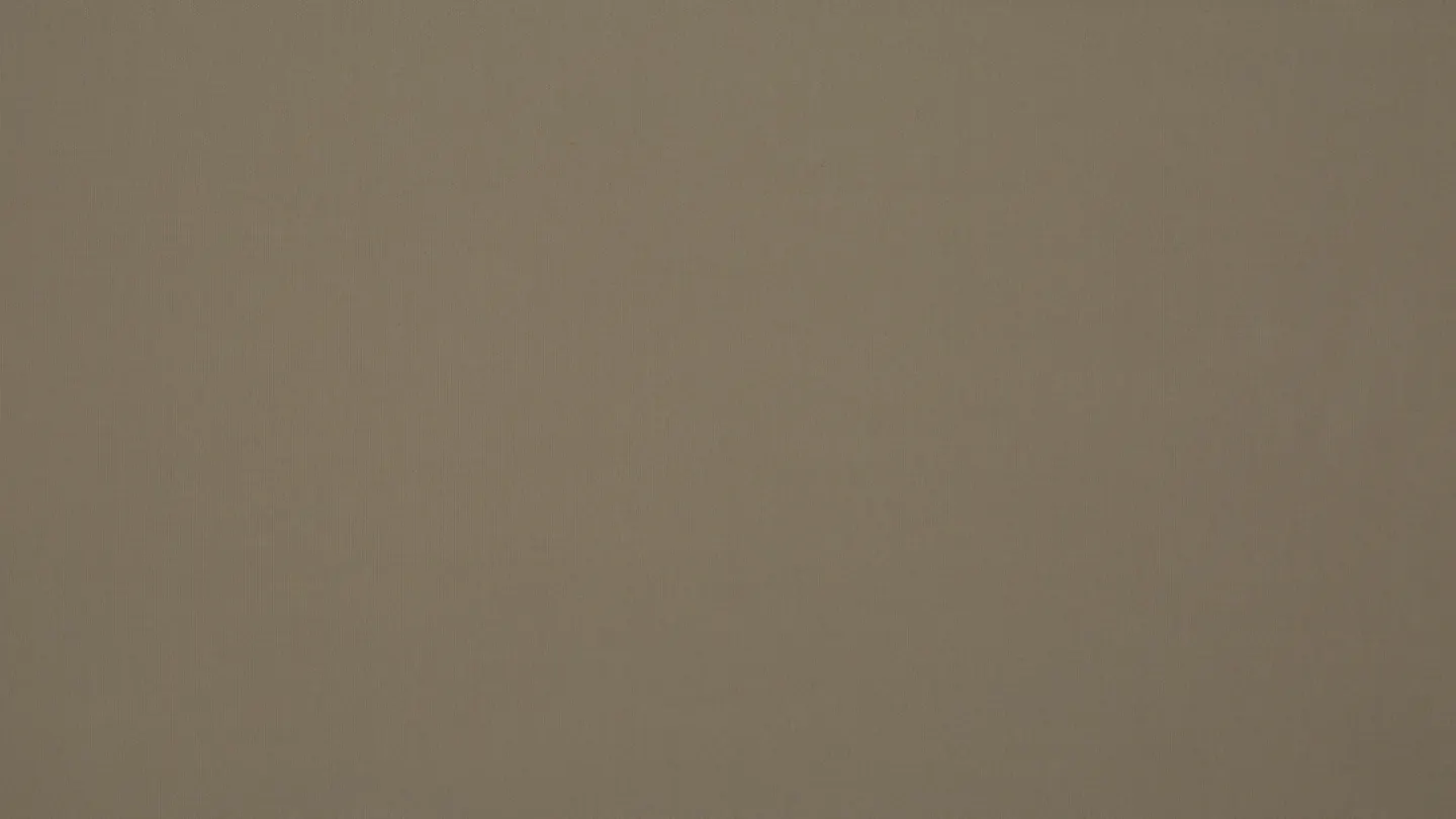 Nettex Epic curtain fabric in Latte