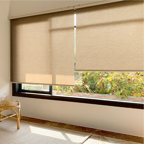 Beige light filtering roller blinds softly diffusing daylight across a wide window